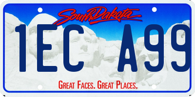 SD license plate 1ECA99