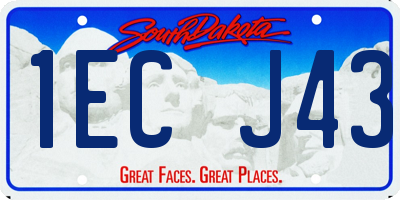 SD license plate 1ECJ43