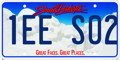 SD license plate 1EES02