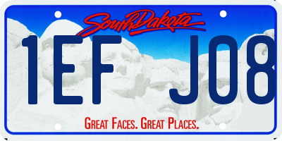 SD license plate 1EFJ08