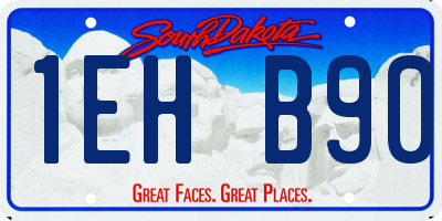 SD license plate 1EHB90