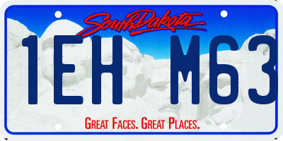 SD license plate 1EHM63