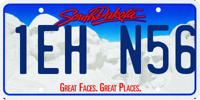 SD license plate 1EHN56