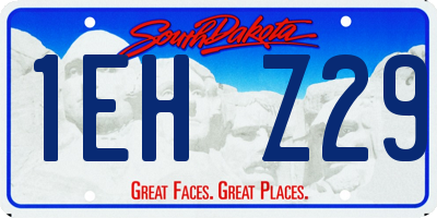 SD license plate 1EHZ29