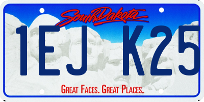 SD license plate 1EJK25