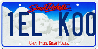 SD license plate 1ELK00