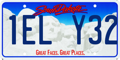 SD license plate 1ELY32