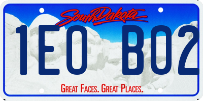 SD license plate 1EOB02