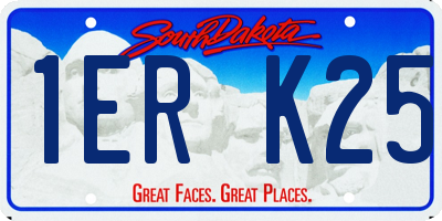 SD license plate 1ERK25
