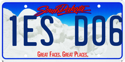 SD license plate 1ESD06