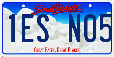 SD license plate 1ESN05