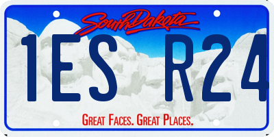 SD license plate 1ESR24