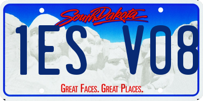 SD license plate 1ESV08