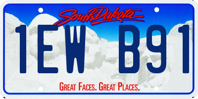 SD license plate 1EWB91
