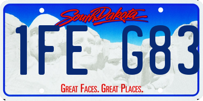 SD license plate 1FEG83