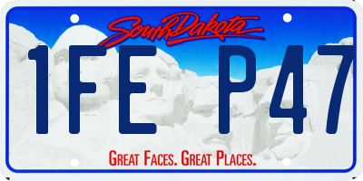 SD license plate 1FEP47