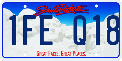 SD license plate 1FEQ18