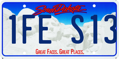 SD license plate 1FES13