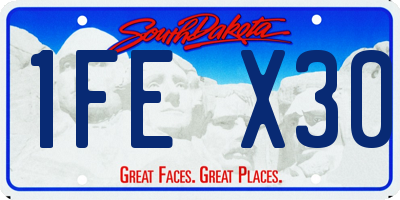 SD license plate 1FEX30