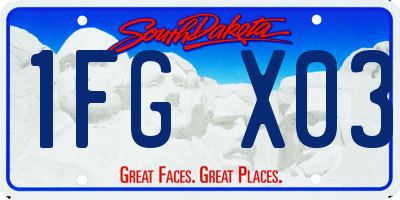 SD license plate 1FGX03