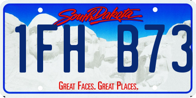 SD license plate 1FHB73