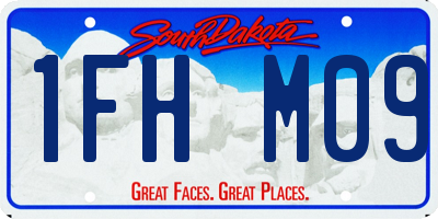 SD license plate 1FHM09