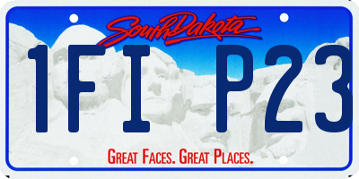 SD license plate 1FIP23