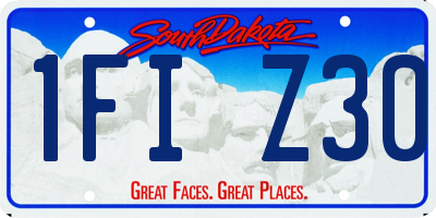 SD license plate 1FIZ30
