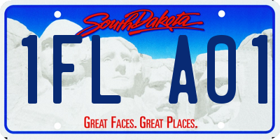 SD license plate 1FLA01
