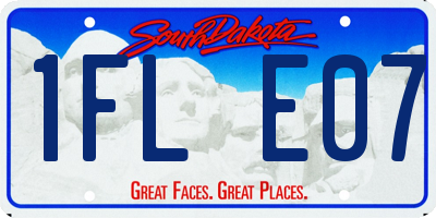 SD license plate 1FLE07