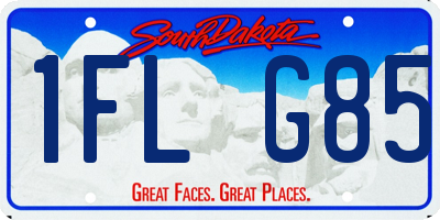 SD license plate 1FLG85