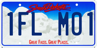 SD license plate 1FLM01