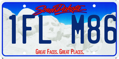 SD license plate 1FLM86