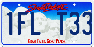 SD license plate 1FLT33