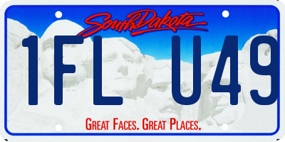SD license plate 1FLU49