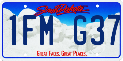 SD license plate 1FMG37