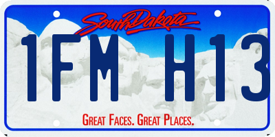 SD license plate 1FMH13