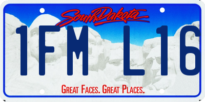 SD license plate 1FML16