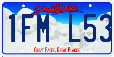 SD license plate 1FML53