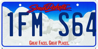 SD license plate 1FMS64