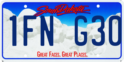 SD license plate 1FNG30