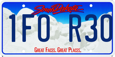 SD license plate 1FOR30
