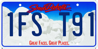 SD license plate 1FST91