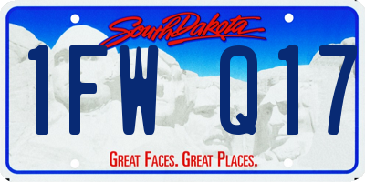 SD license plate 1FWQ17