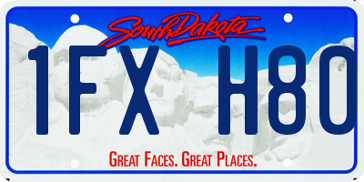SD license plate 1FXH80