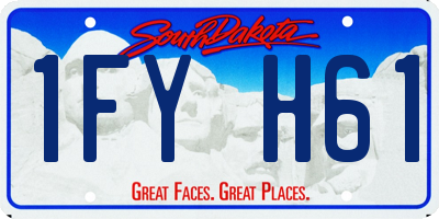 SD license plate 1FYH61