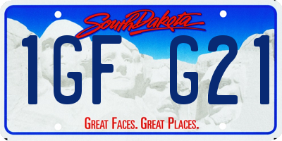 SD license plate 1GFG21