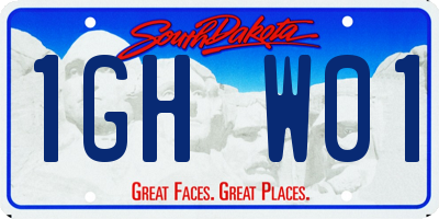 SD license plate 1GHW01