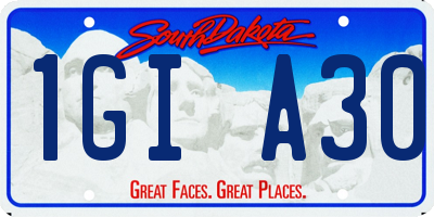 SD license plate 1GIA30