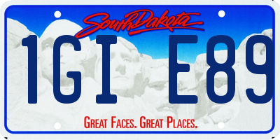 SD license plate 1GIE89